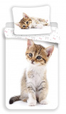 Nádherné bavlnené obliečky s fotkou roztomilého mačiatka na bielom pozadí, | 140x200, 70x90 cm