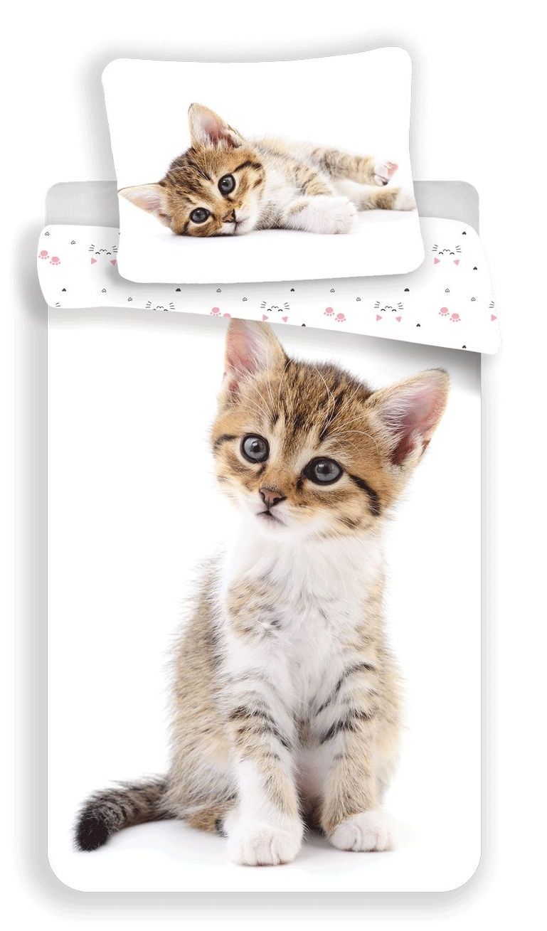 Nádherné bavlnené obliečky s fotkou roztomilého mačiatka na bielom pozadí, Jerry Fabrics
