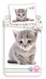 Obliečky fototlač Kitten colour | 140x200, 70x90 cm