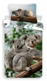 Bavlnené obliečky fototlač Koala | 140x200, 70x90 cm