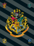 Detská fleecová deka Harry Potter 067