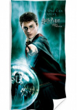 Harry Potter uterák Prežiť môže len jeden | 70x140 cm
